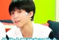 王俊凯表情包高清,捕捉青春偶像的瞬间魅力