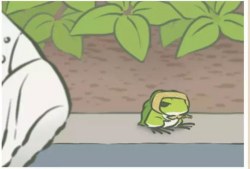 网红歌曲小青蛙,治愈心灵的清新旋律，唤醒美好回忆