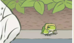 网红歌曲小青蛙,治愈心灵的清新旋律，唤醒美好回忆