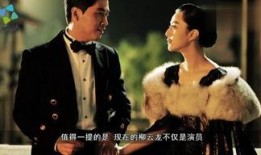 柳云龙东风雨花絮,柳云龙演绎谍战风云中的传奇人生