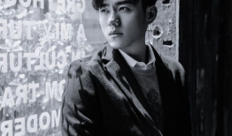 演员李程彬,光影交织下的演技魅力