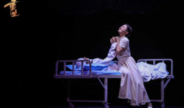 国内音乐剧演员