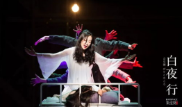 国内音乐剧演员