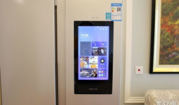 娱乐大冰箱图片,揭秘明星们的私藏娱乐时光