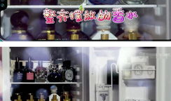 娱乐大冰箱图片,揭秘明星们的私藏娱乐时光