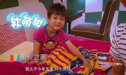 亮仔娱乐妈妈,揭秘明星家庭背后的温馨故事