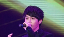 李炜娱乐圈,娱乐圈风云变幻中的璀璨星辰