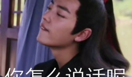 魏巡表情包,捕捉明星的喜怒哀乐