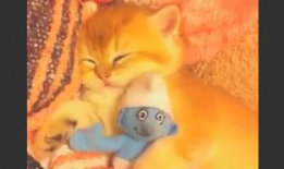 搞笑版睡美人,梦醒时分，公主变女侠