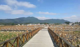 建宁图片,一幅古色古香的画卷