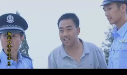 杨光的快乐生活背景歌,欢快旋律中的温馨时光