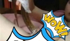 麻椒女主播黄鳝死了