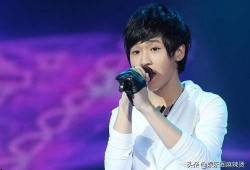 李炜娱乐圈,娱乐圈风云变幻中的璀璨星辰