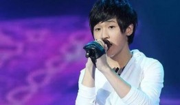 李炜娱乐圈,娱乐圈风云变幻中的璀璨星辰