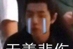 魏巡表情包,捕捉明星的喜怒哀乐