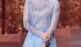 主持人张蕾图片