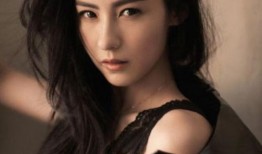 张柏芝社会背景,从影视明星到社会公益使者