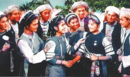 五朵金花电影背景解析